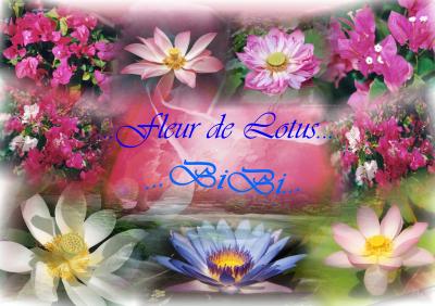 ................!!!!!!!